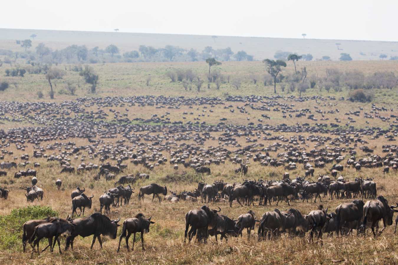 Angama Safari Camp- 32