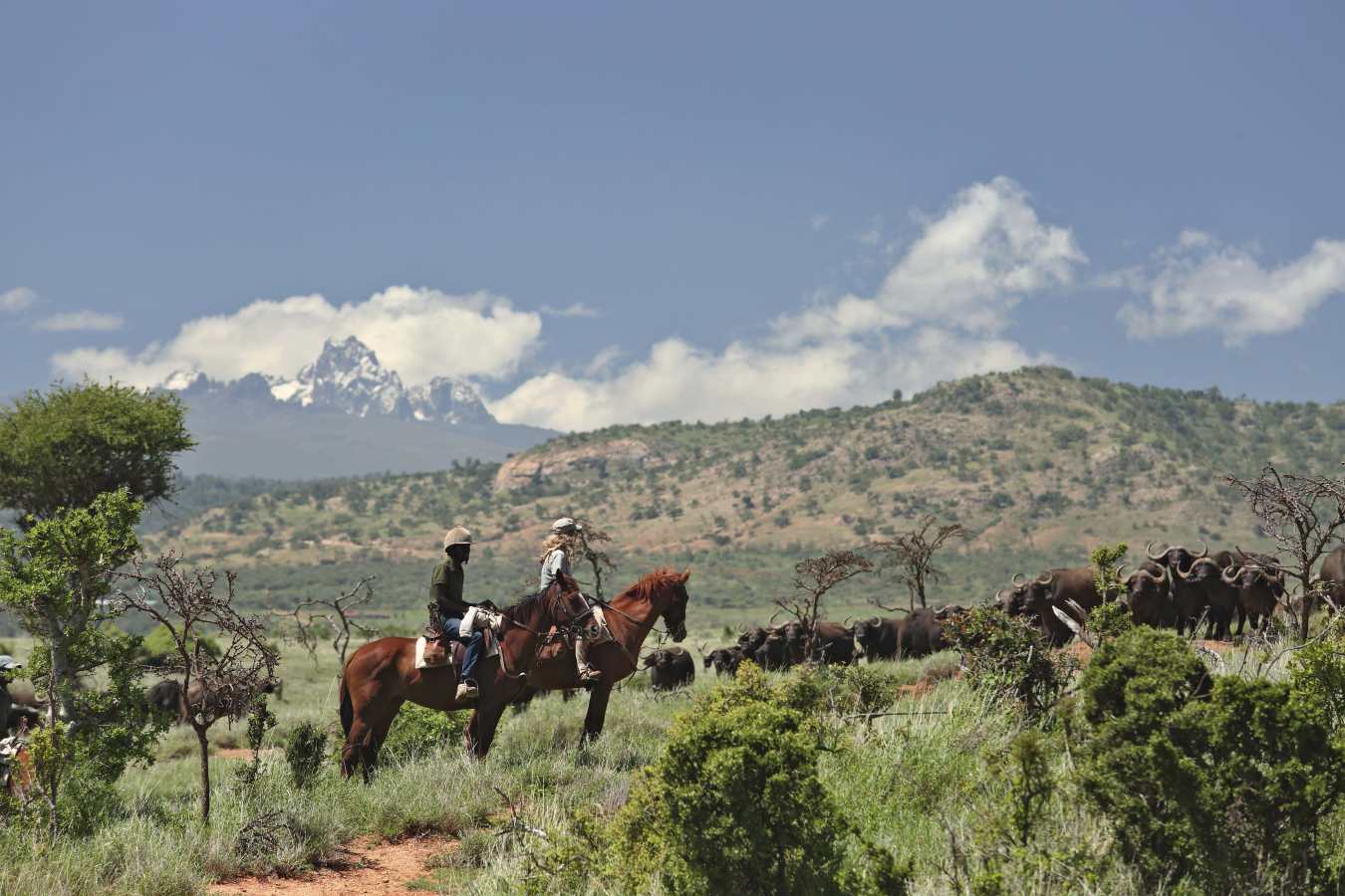 Borana Lodge- 14