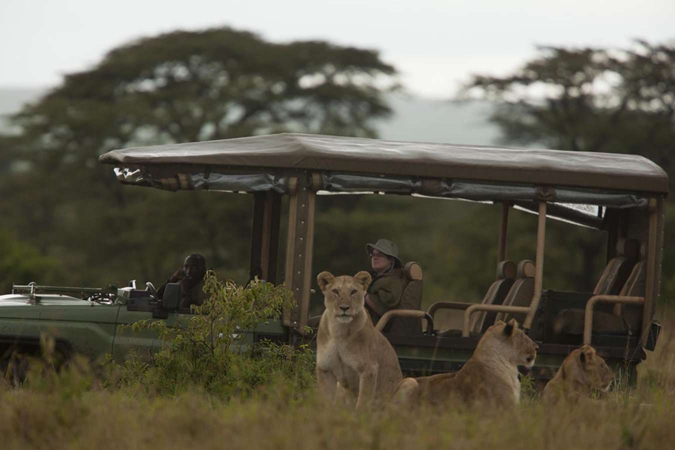 Mara Plains- 17