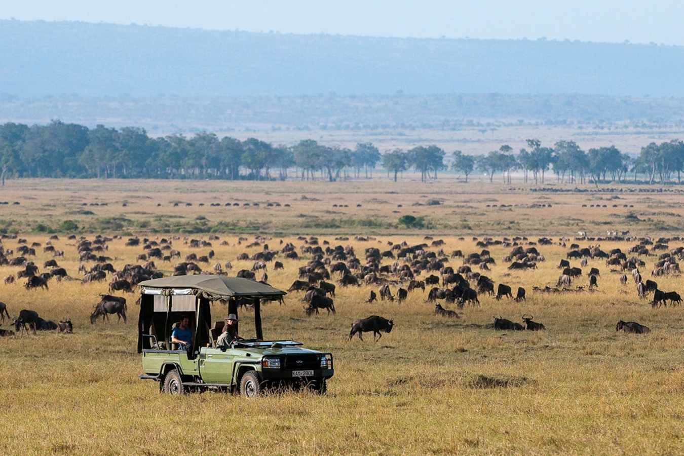 Mara Plains- 6