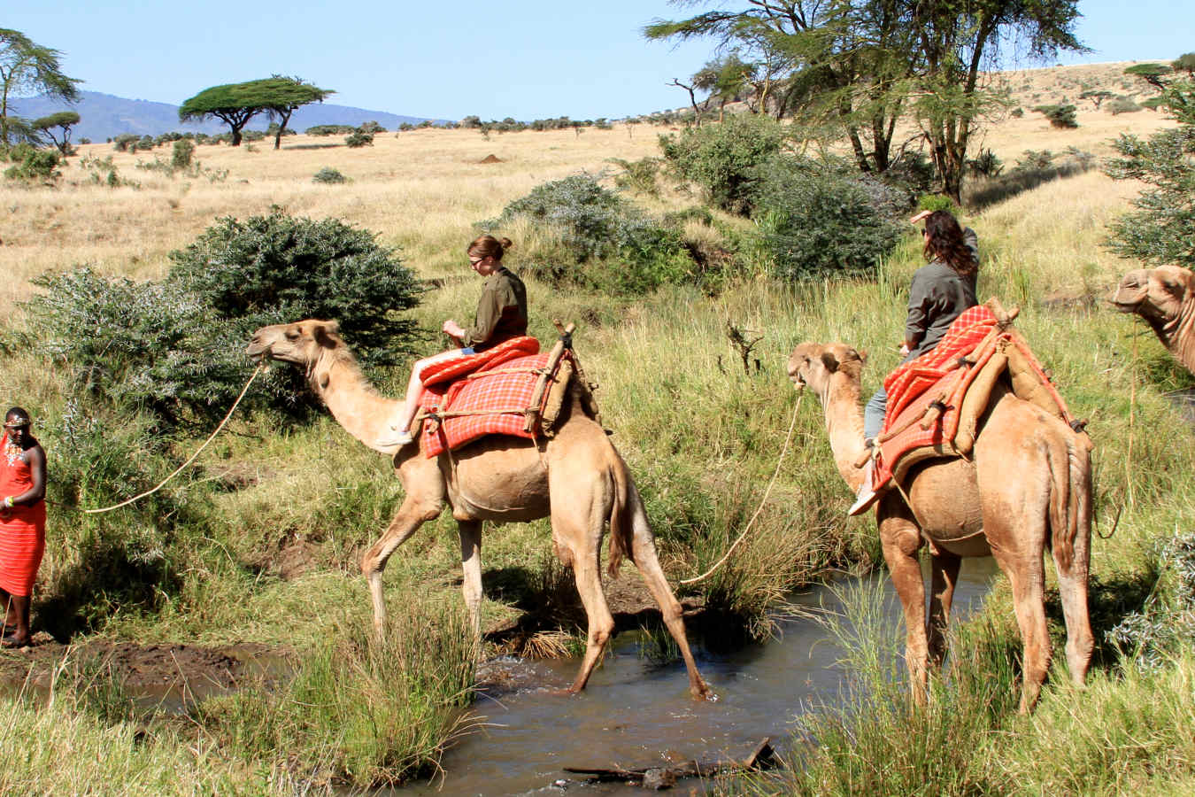 Lewa House- 65