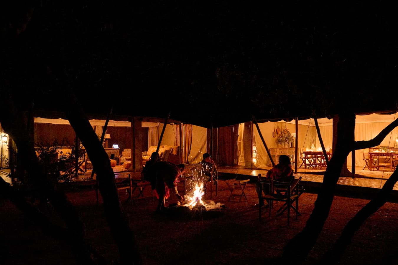 Saruni Wild- 12
