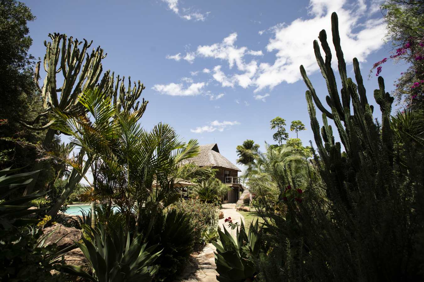 Segera Retreat- 46
