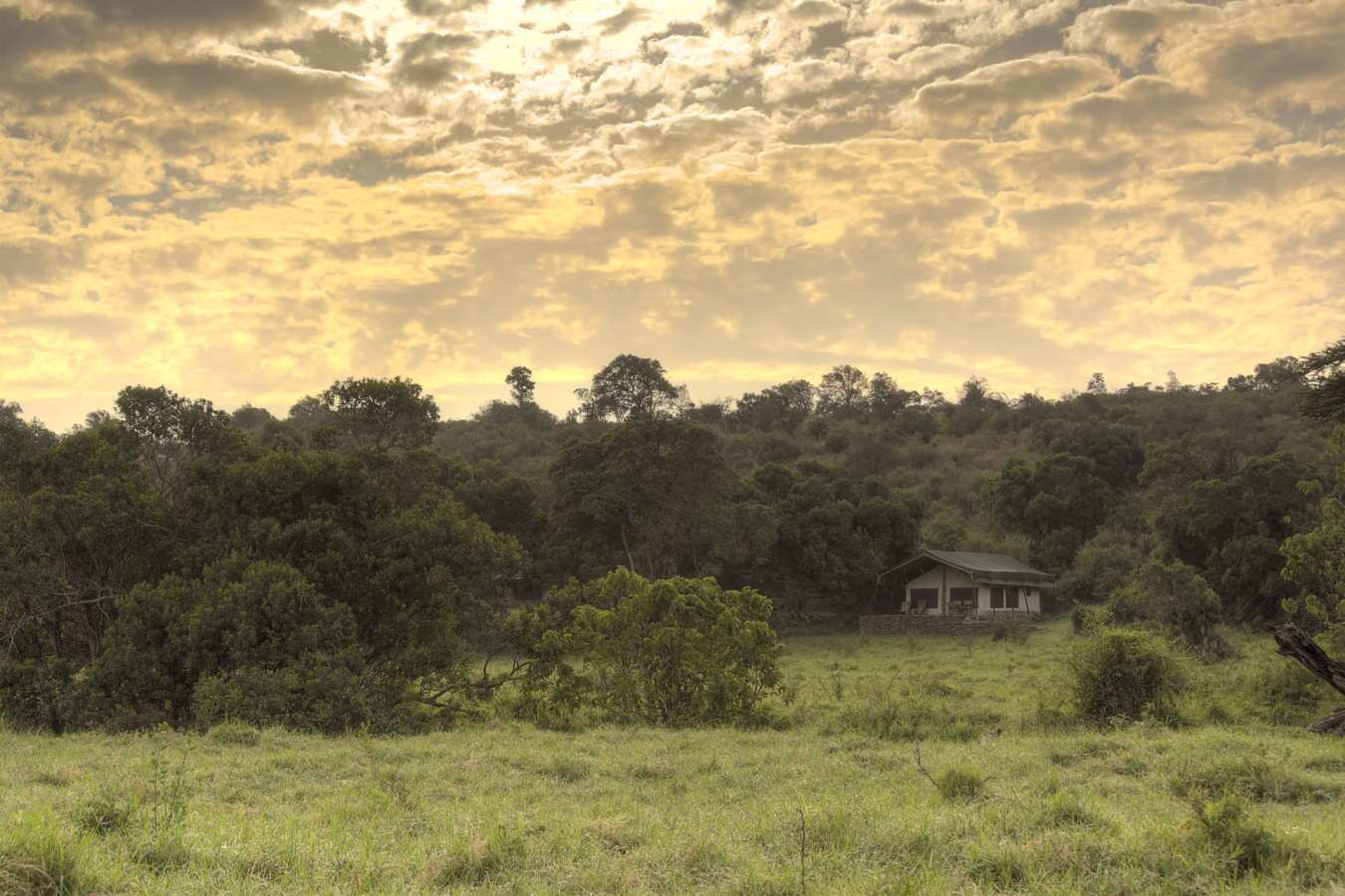 Kicheche Mara 
