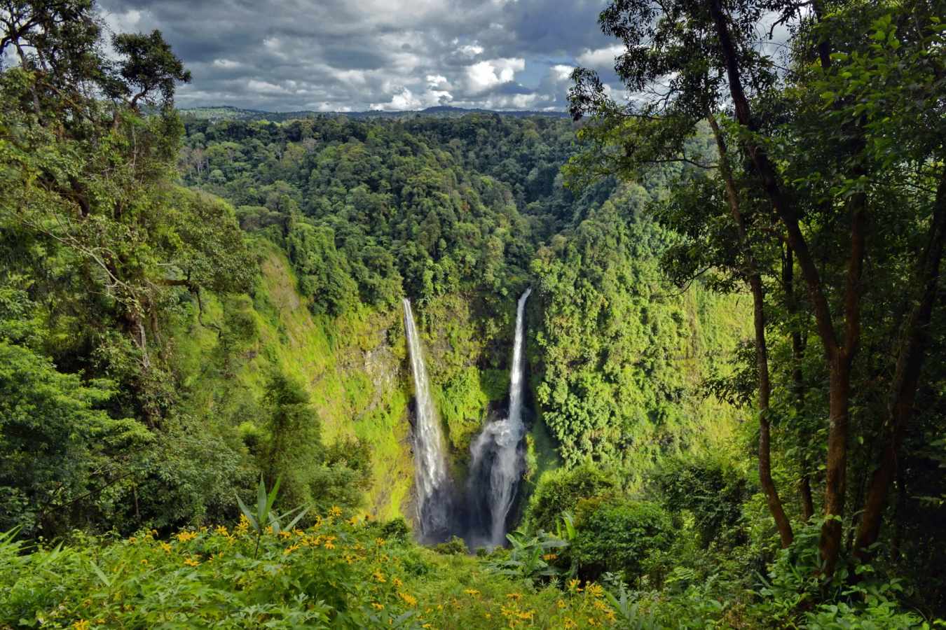 Bolaven Plateau 