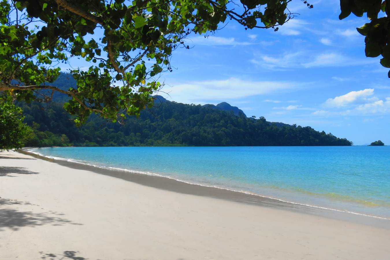 Endless Golden Beaches 