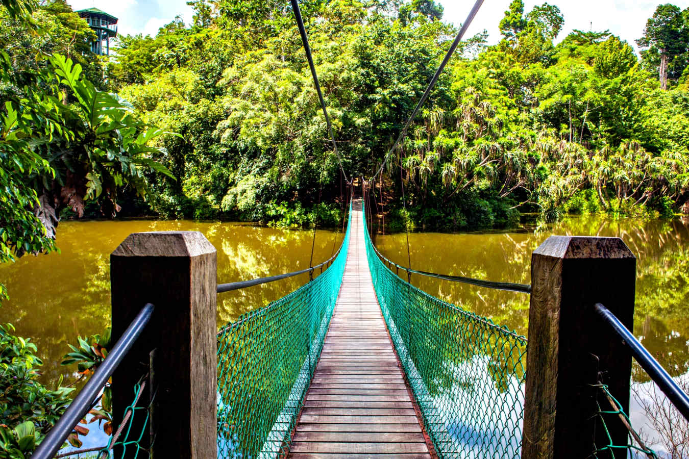 Borneo Adventure 