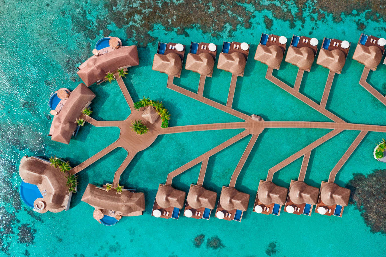 W Maldives- 47