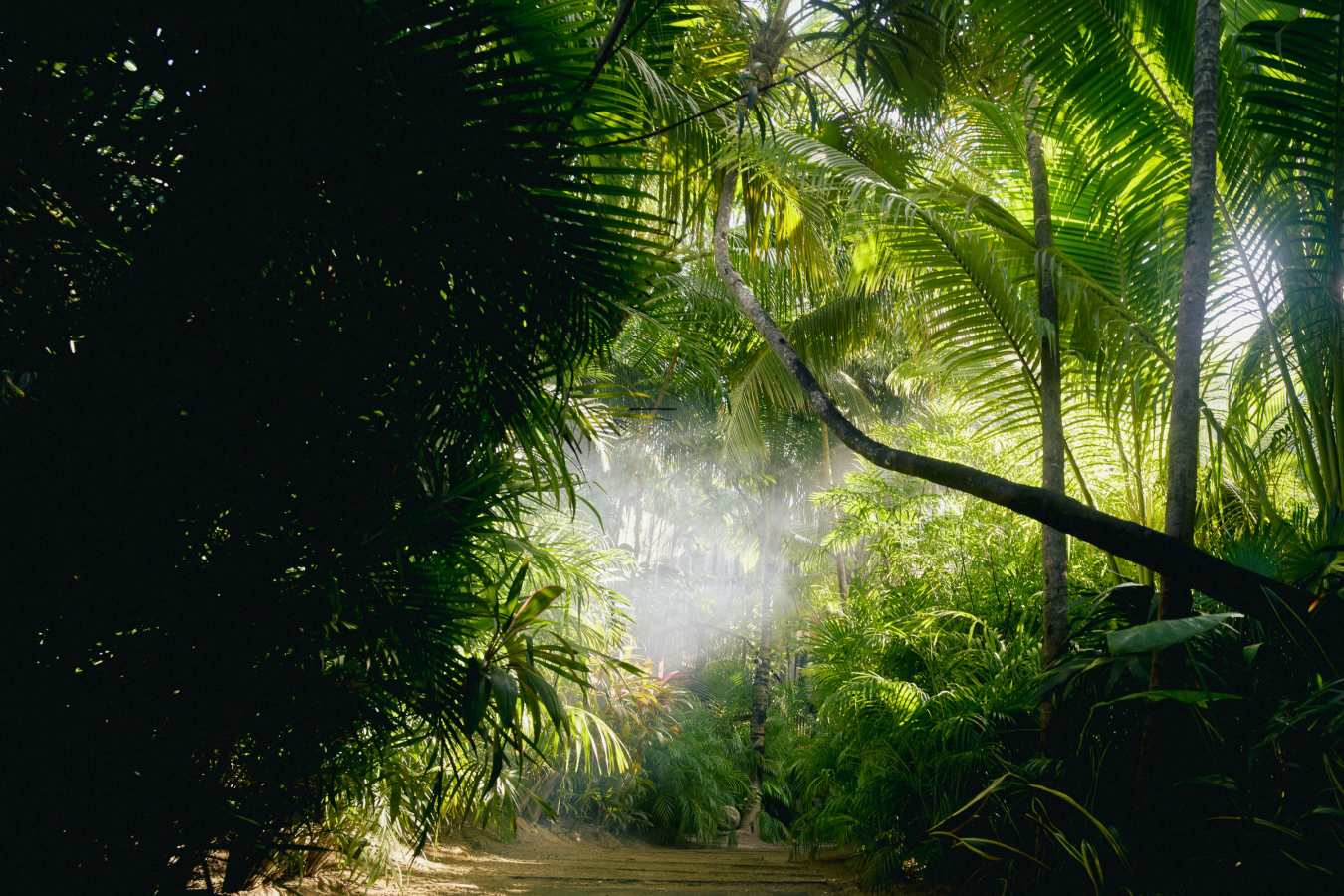 Be Tulum- 28