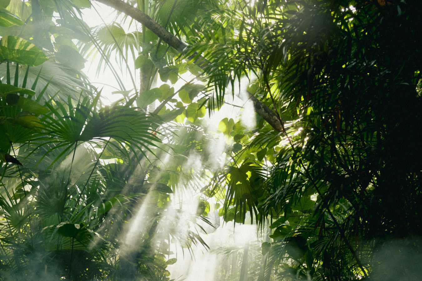 Be Tulum- 27