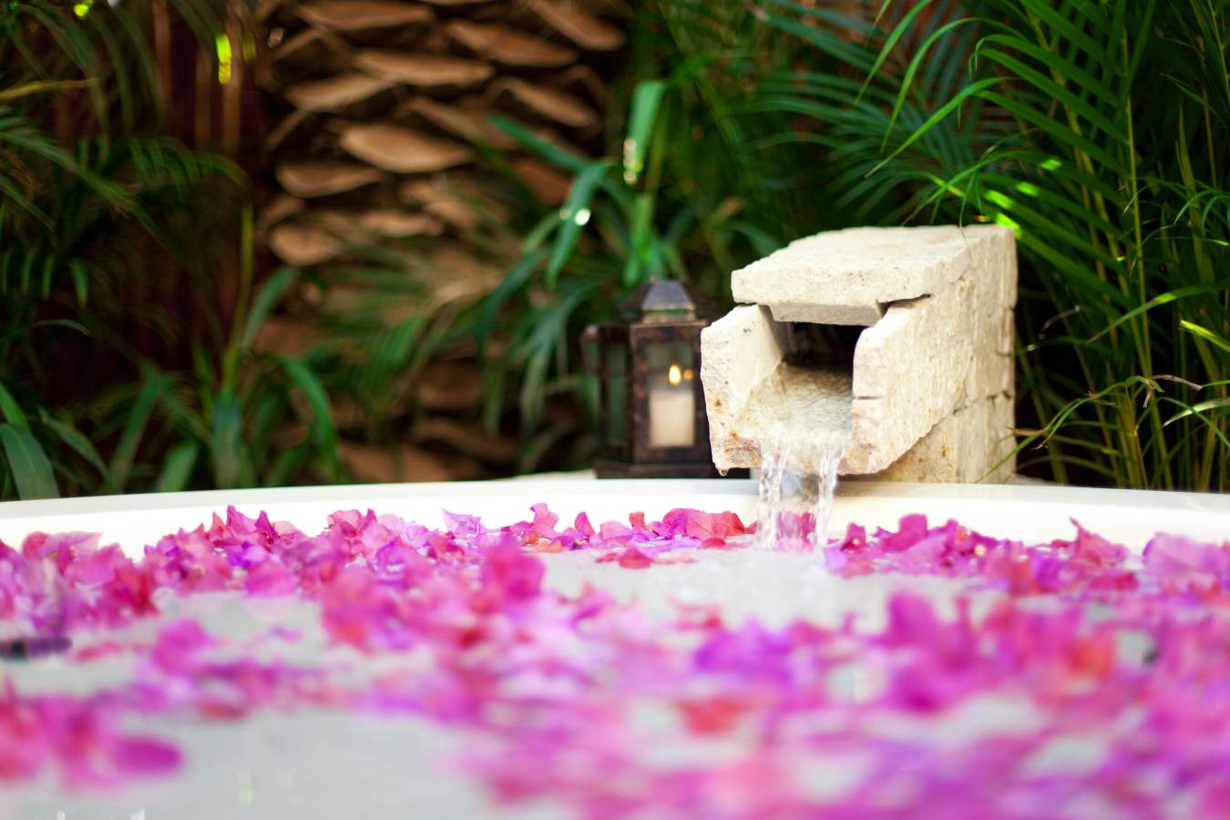 Las Ventanas al Paraiso, A Rosewood Resort- 84