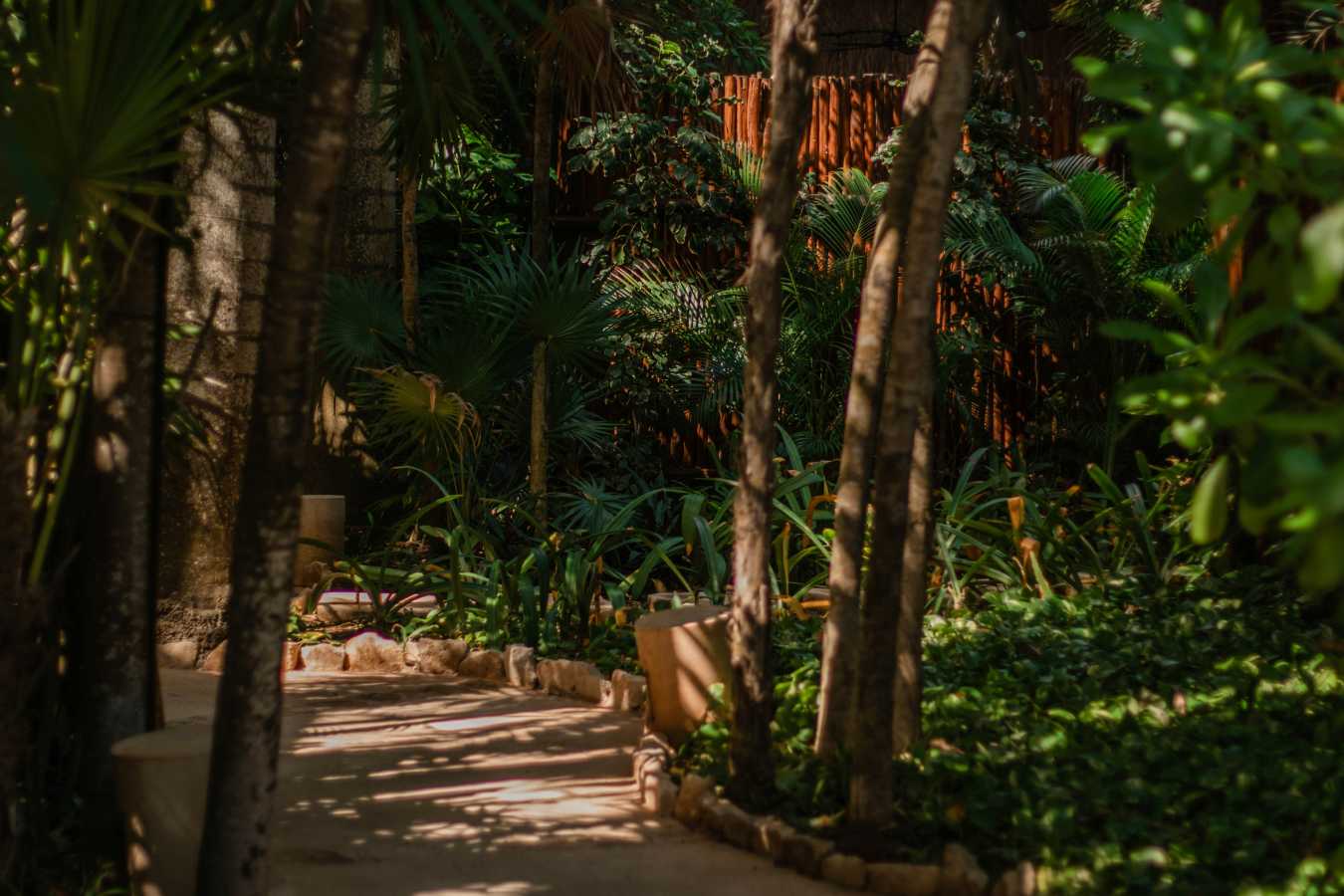 Viceroy Riviera Maya - 76