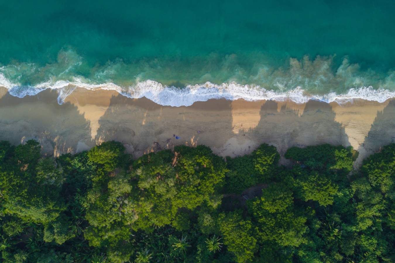 Sayulita Ariel Beach 