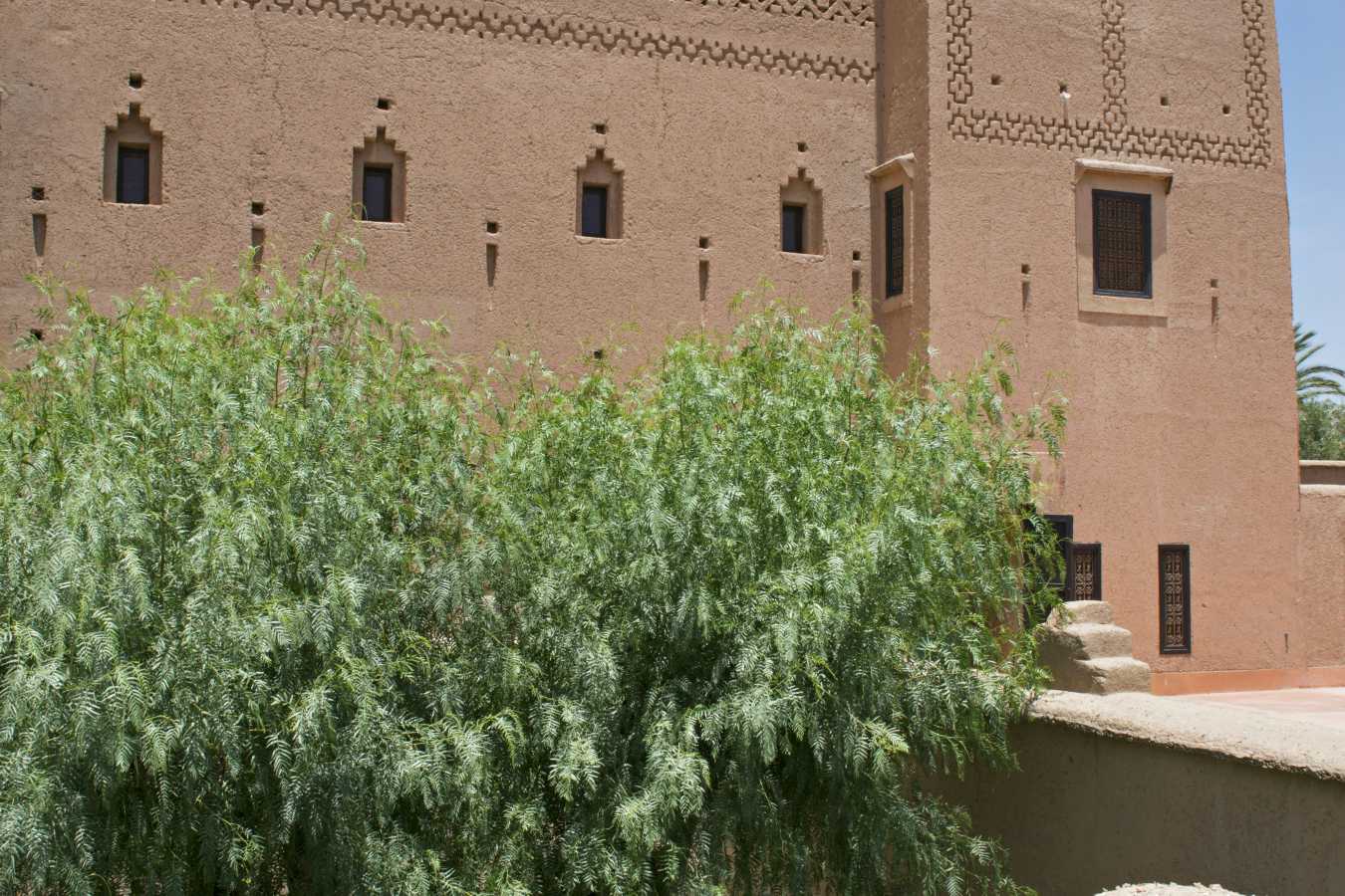 Dar Ahlam- 17