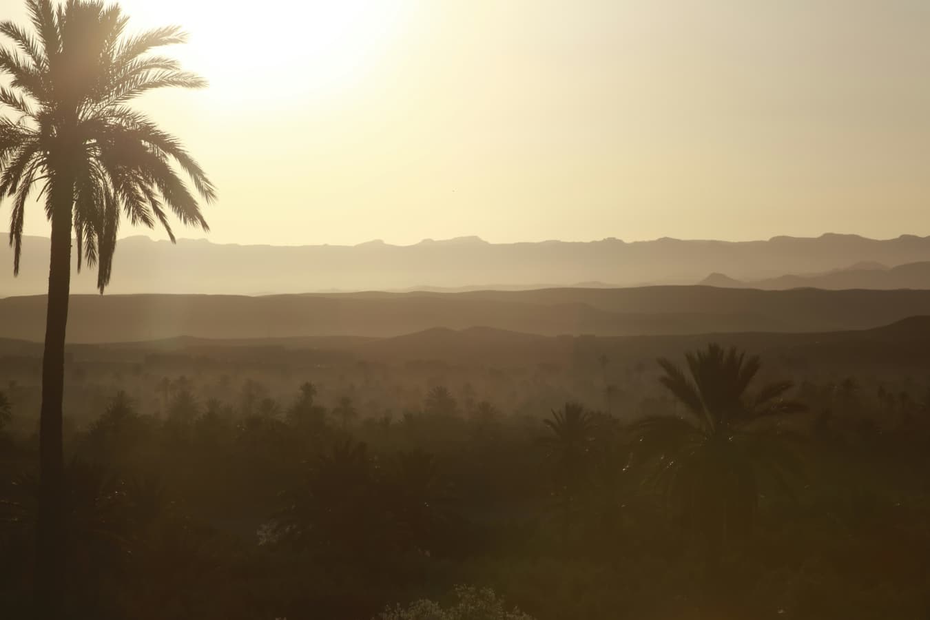 Dar Ahlam- 102