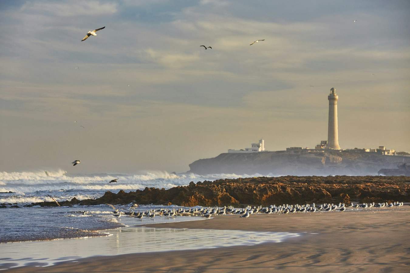 Four Seasons Hotel Casablanca- 115