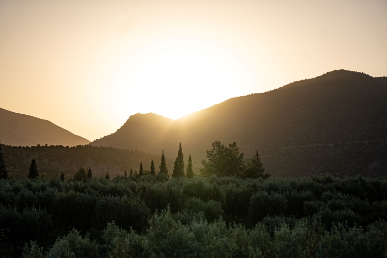 Sunset - Olinto 