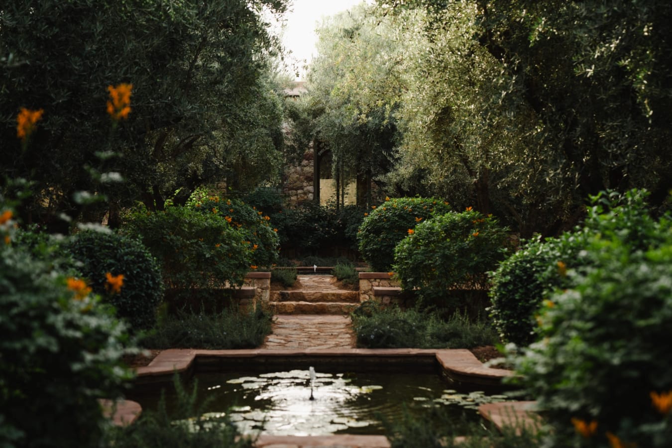 Gardens - Olinto 