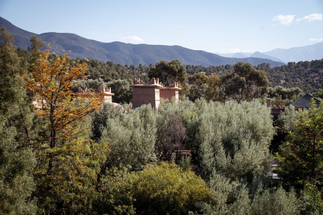 Property View - Olinto  