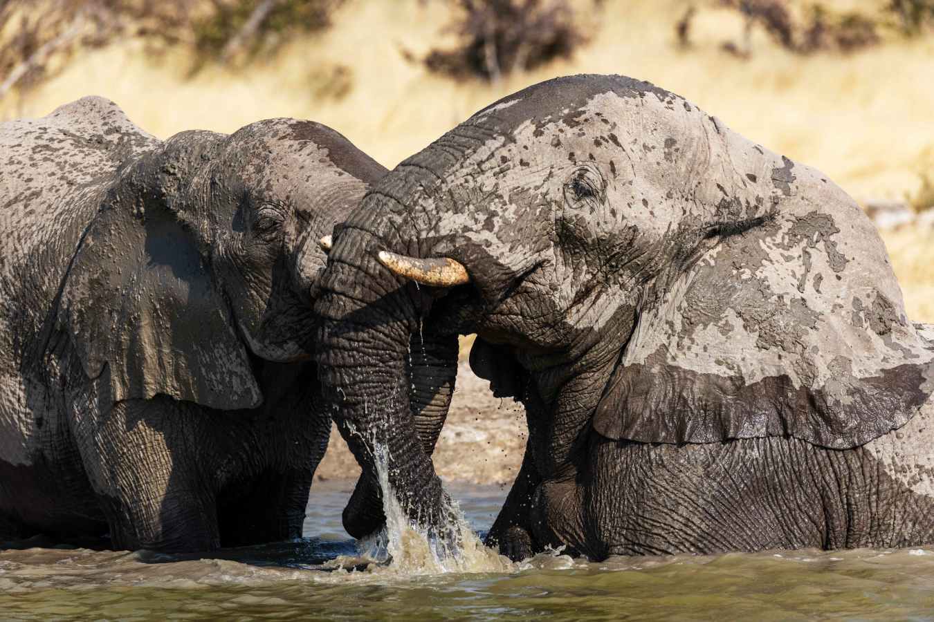 Etosha Mountain Lodge- 14