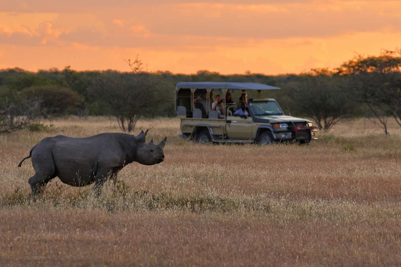 Etosha Mountain Lodge- 22