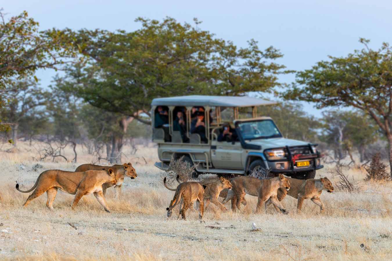 Etosha Mountain Lodge- 23