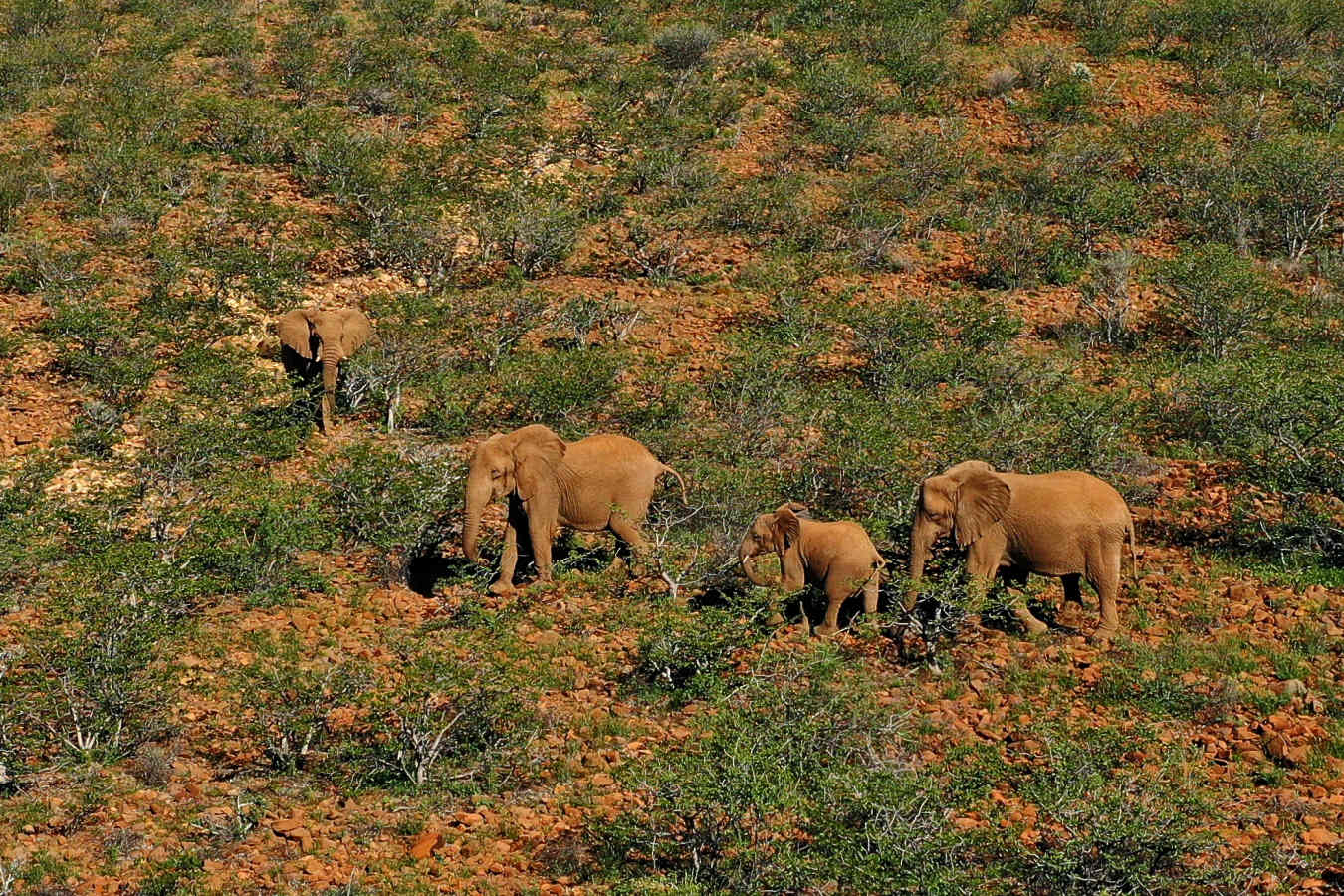 Grootberg Lodge- 33