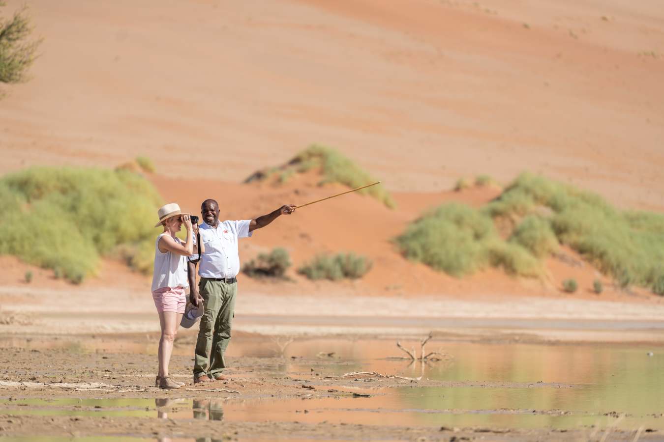Hoodia Desert Lodge- 14