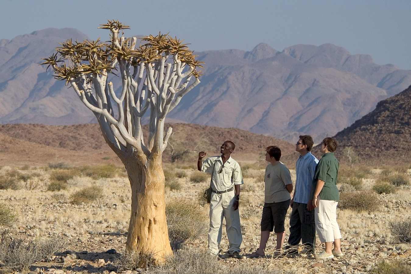 Nature walks - Kulala Desert Lodge