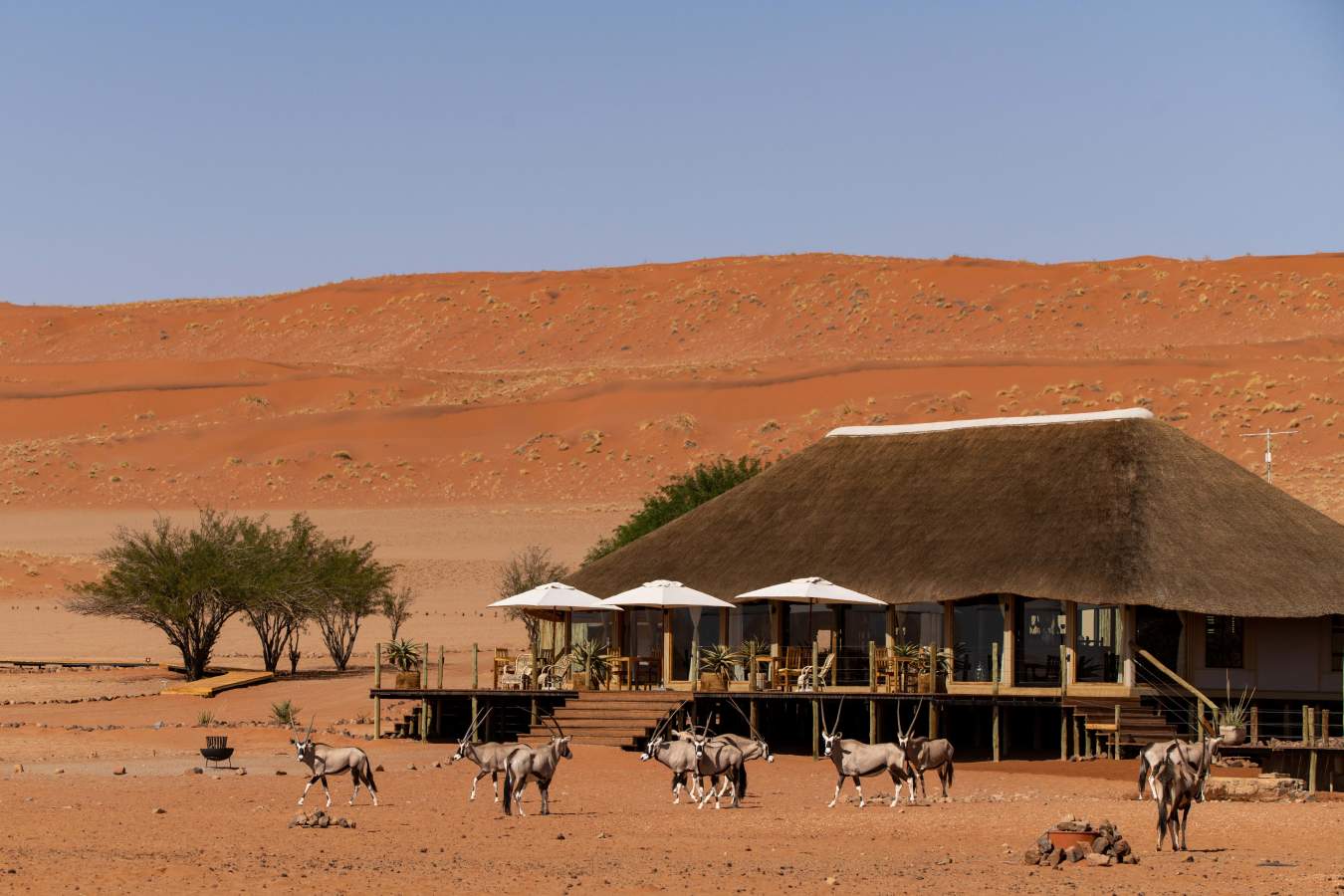 Kwessi Dunes- 10