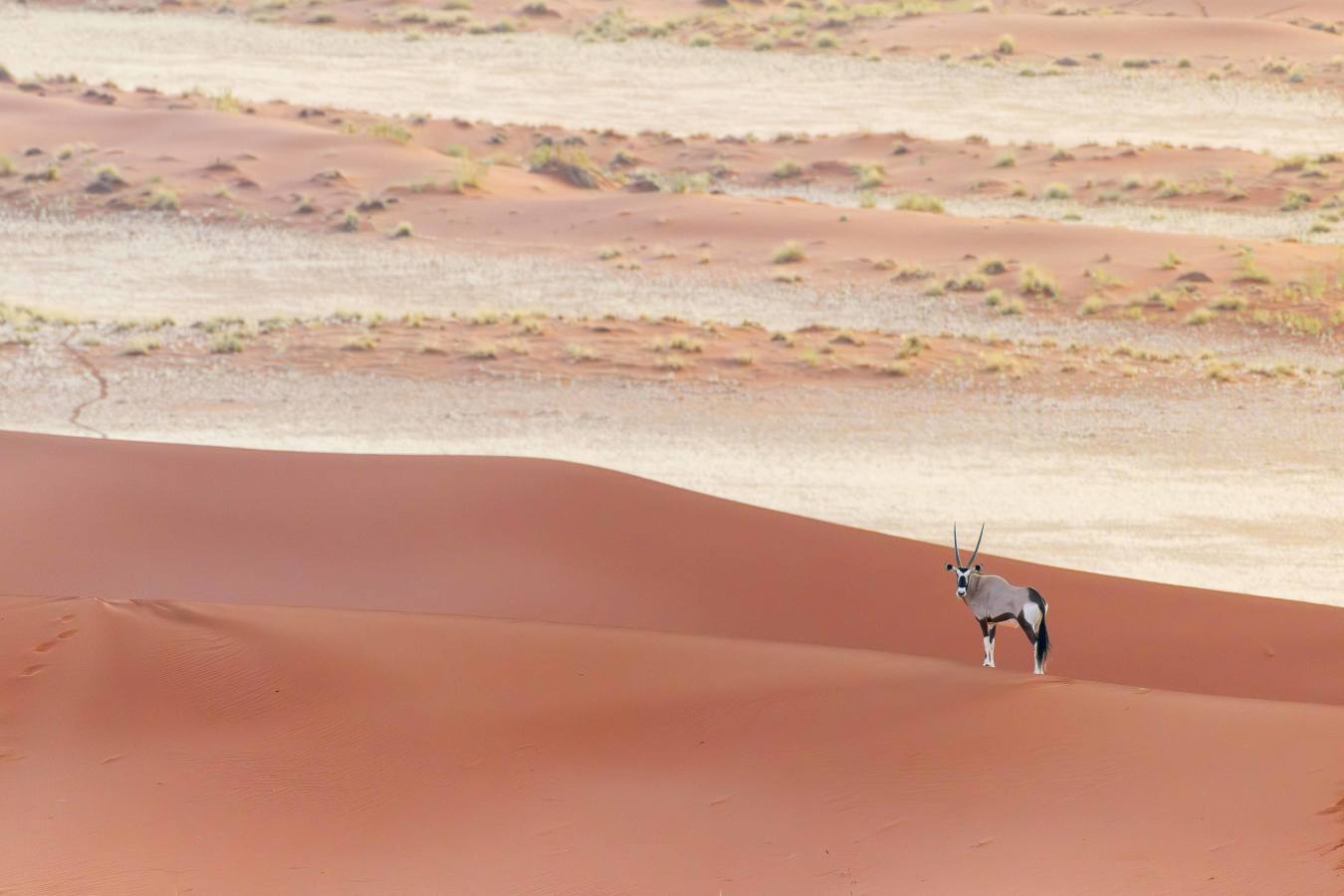 Kwessi Dunes- 43
