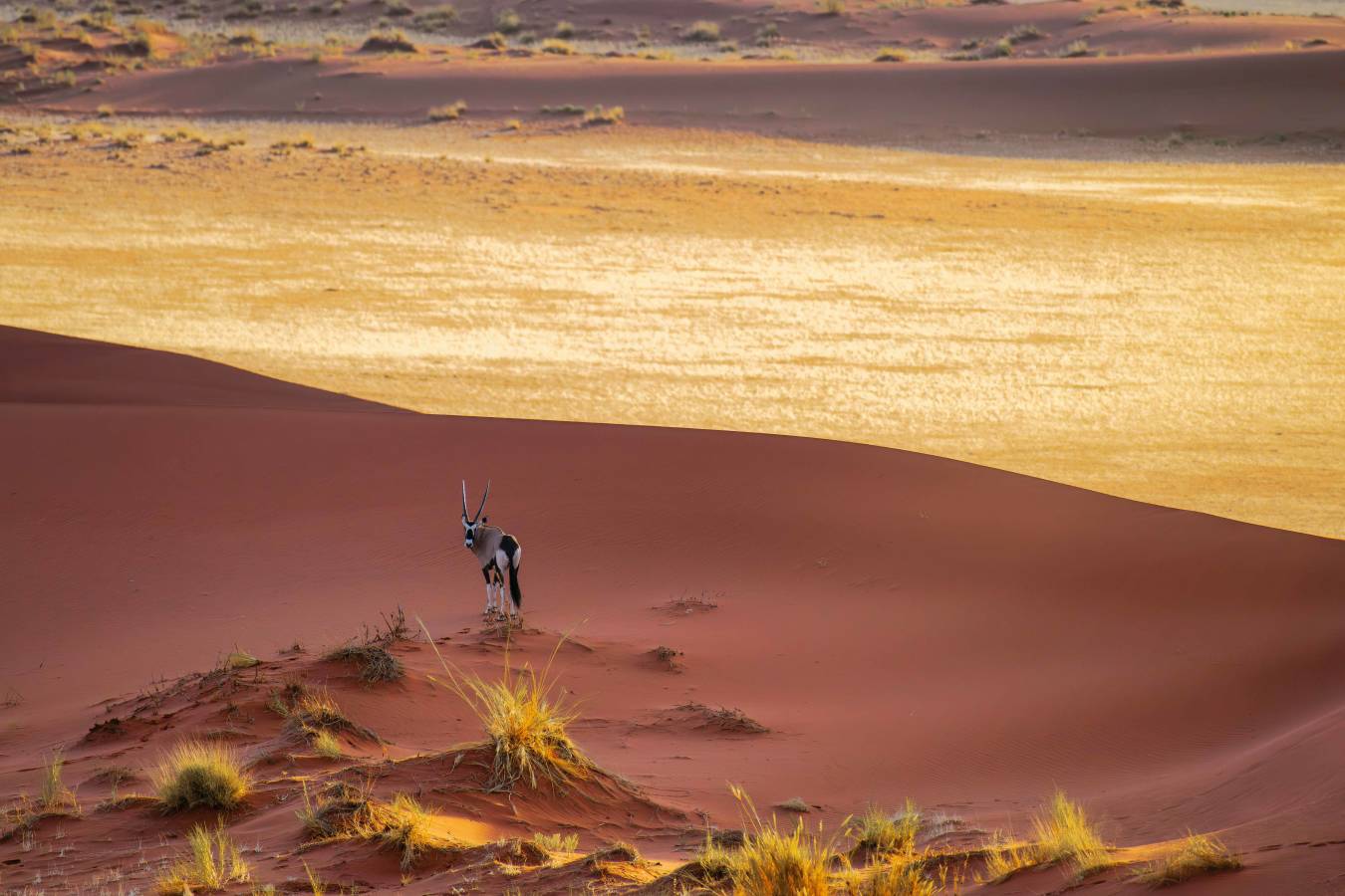Kwessi Dunes- 36