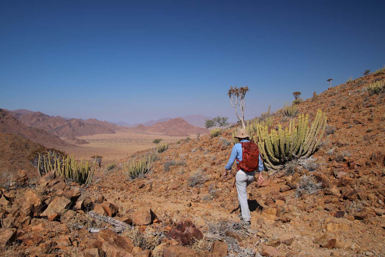 Kwessi Dunes- 38