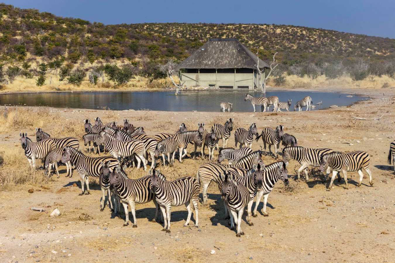 Safarihoek Lodge- 35