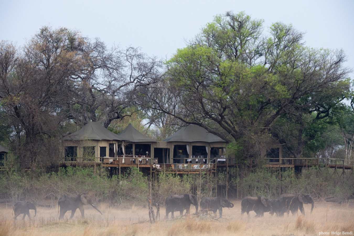 Nambwa tented 