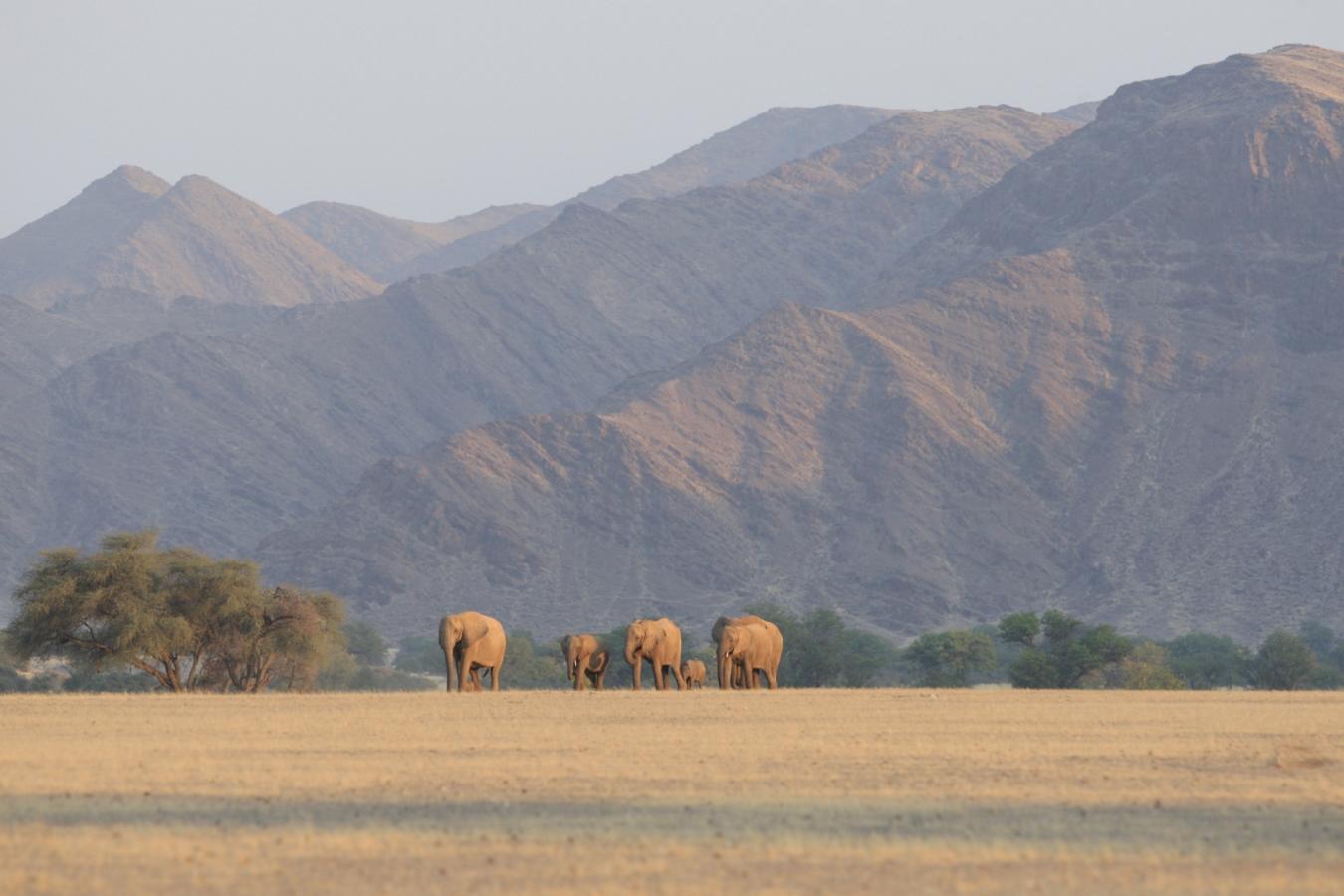 Hoanib Valley, Skeleton Coast - Northern Namibia & The Skeleton Coast 