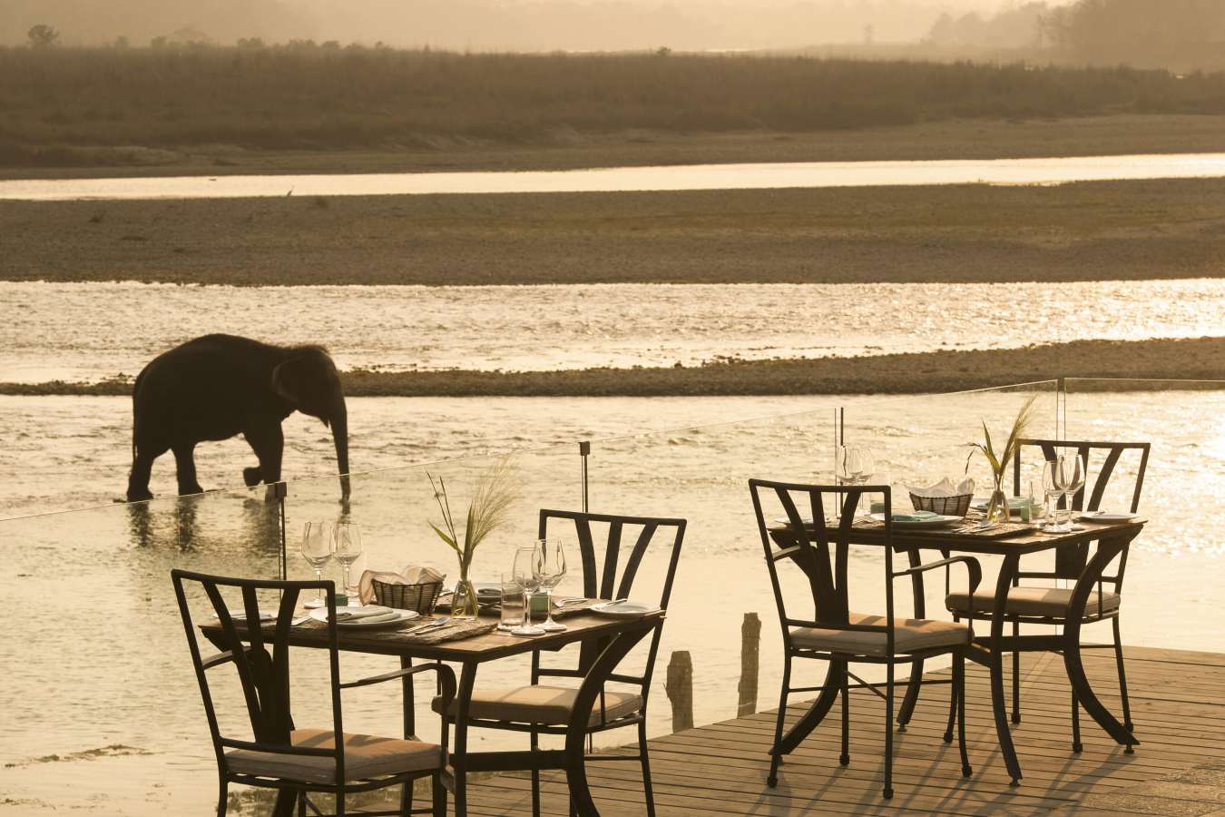 Meghauli Serai, Taj Safaris- 24