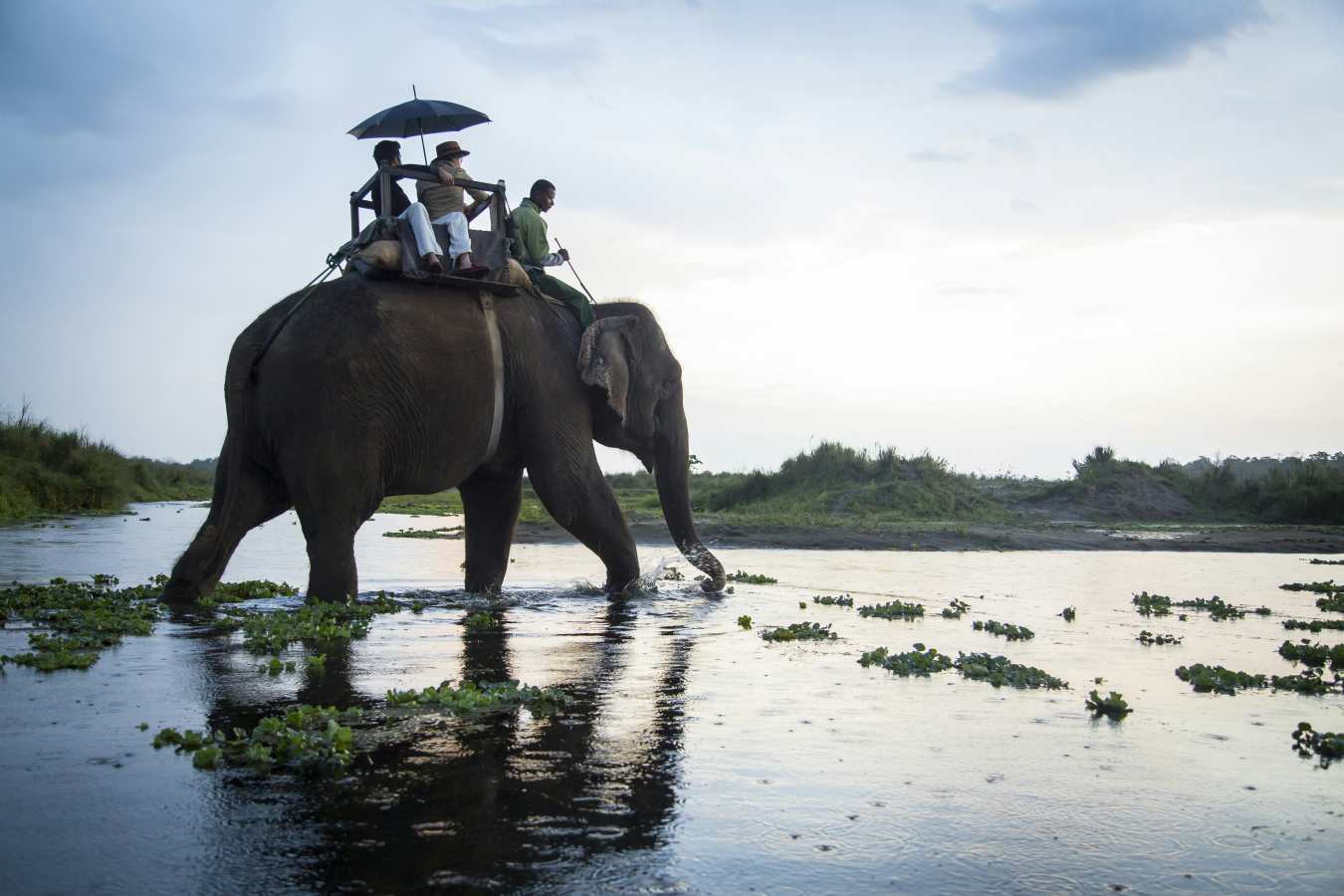 Meghauli Serai, Taj Safaris- 21