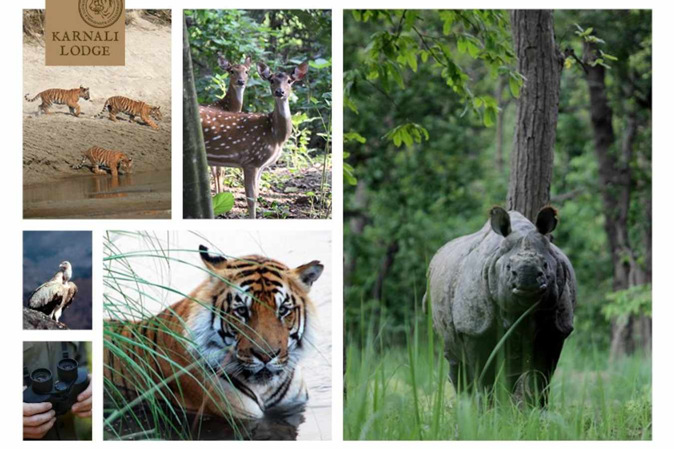 Tiger Tops Karnali Lodge- 3