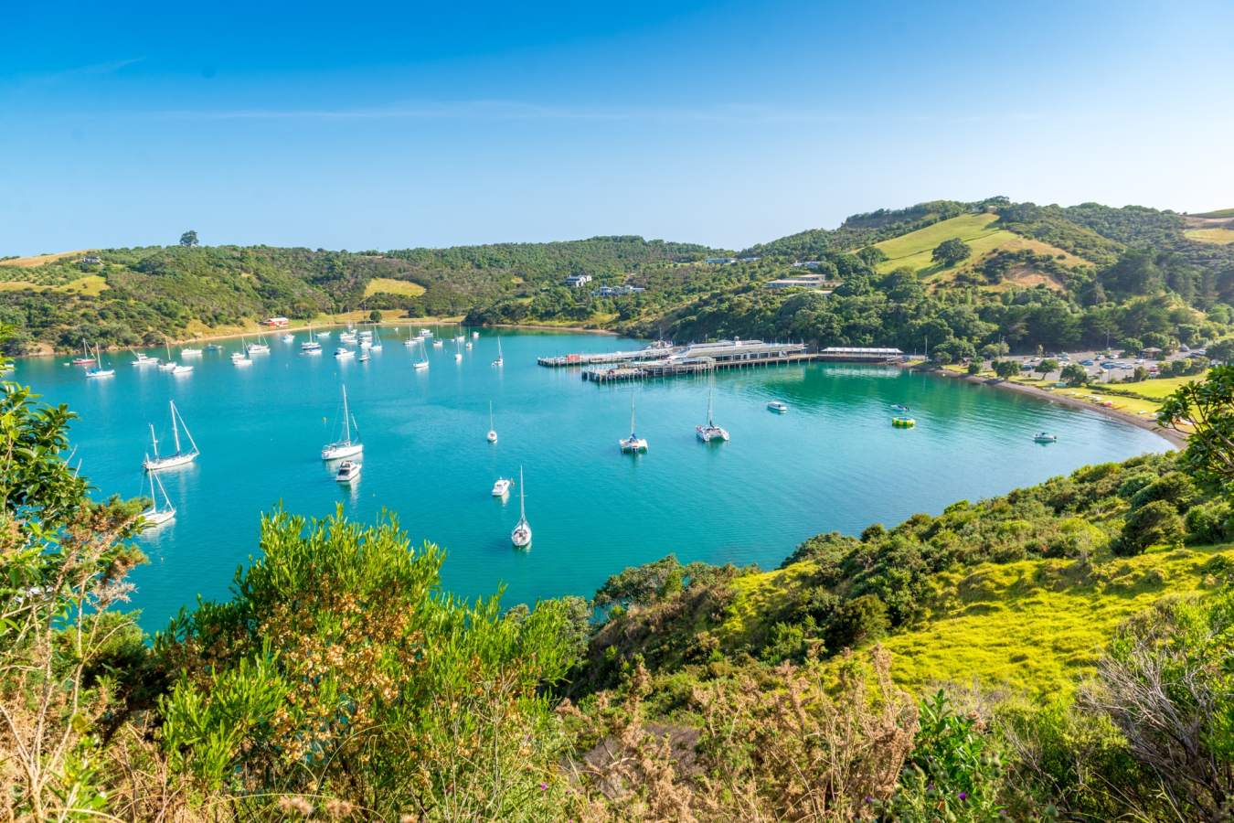 Waiheke Island Bay 