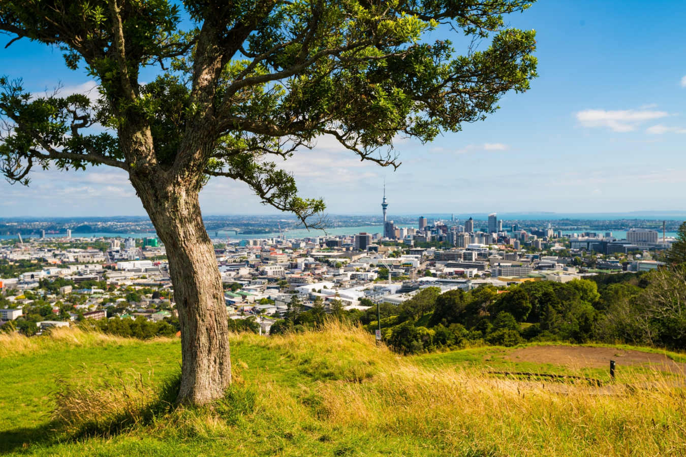 Auckland 