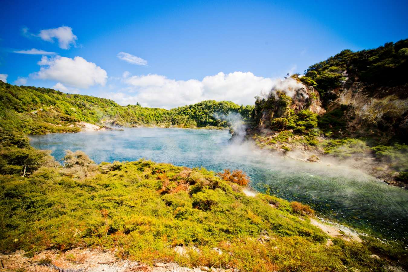 Geothermal Rotorua 