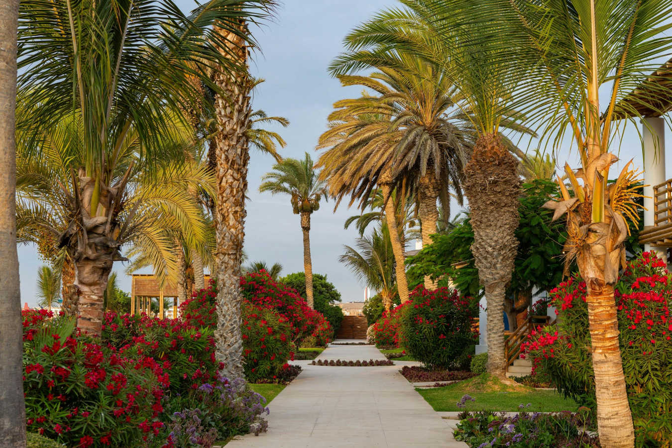 Hotel Paracas, A Luxury Collection Resort- 17