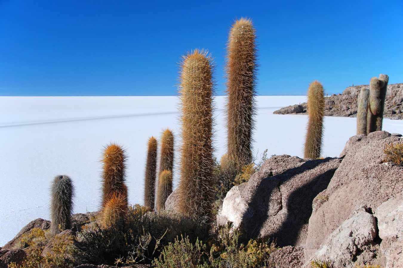 Uyuni salt flats 