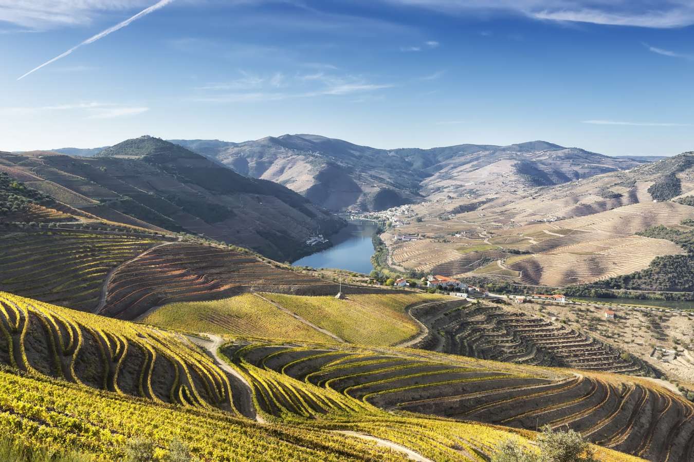 Douro Valley 