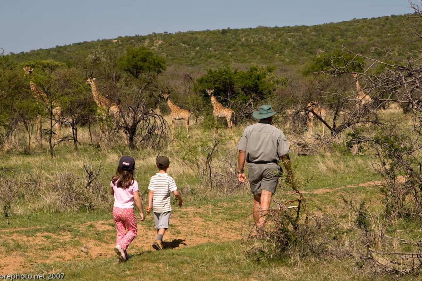 Ant's Hill- 25