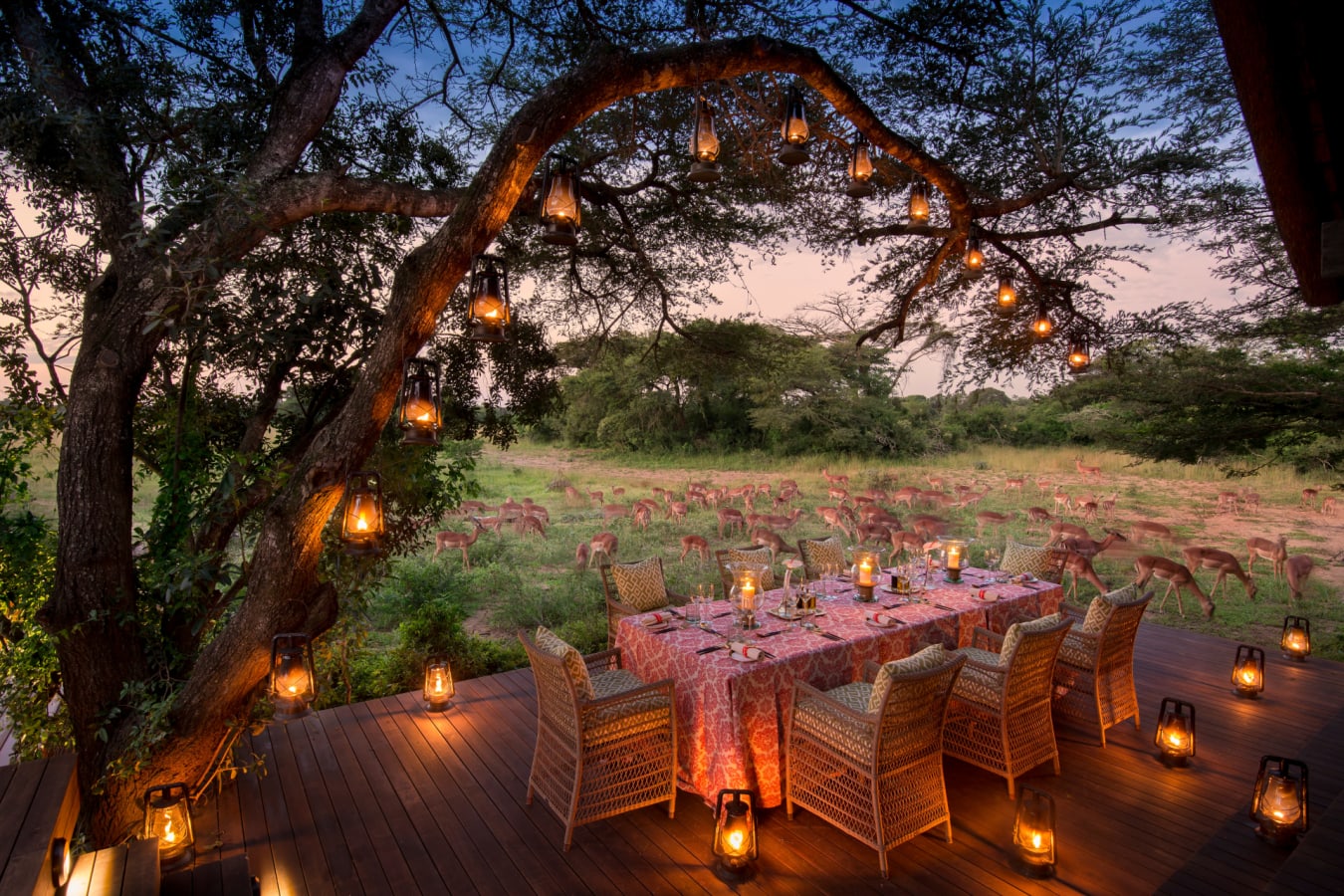 outside dinner  