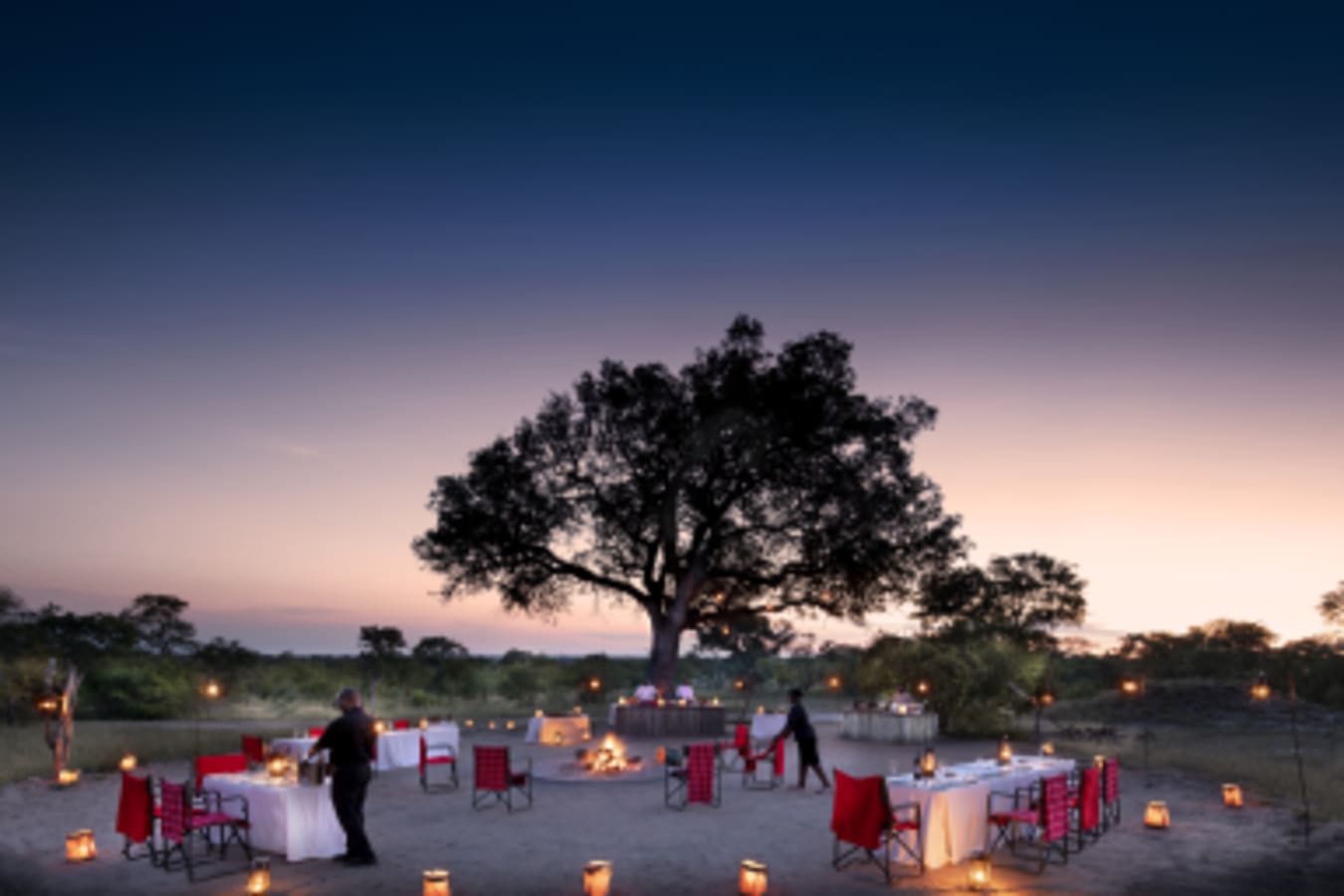 Bush Dining 