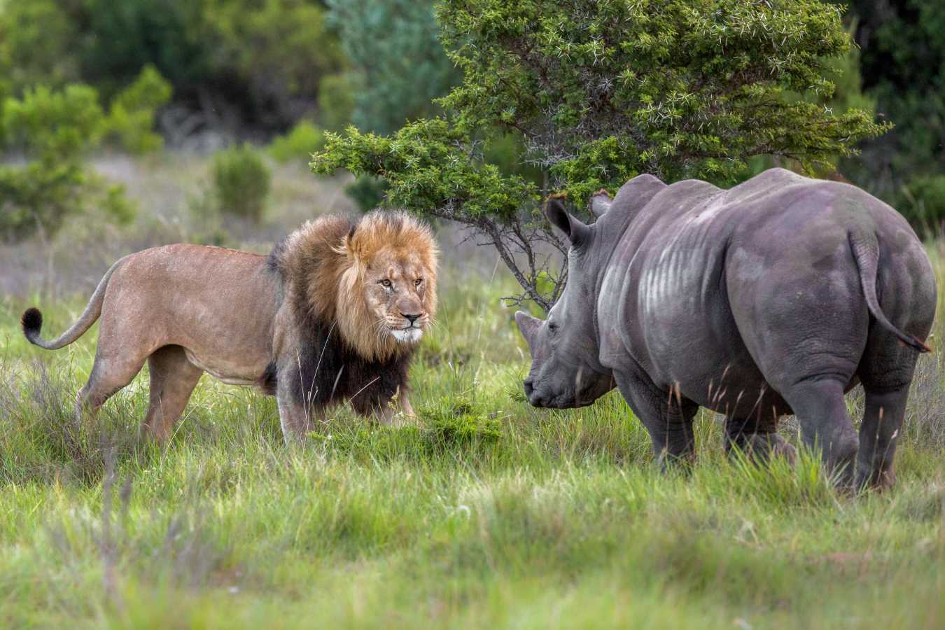 Kariega River Lodge- 31