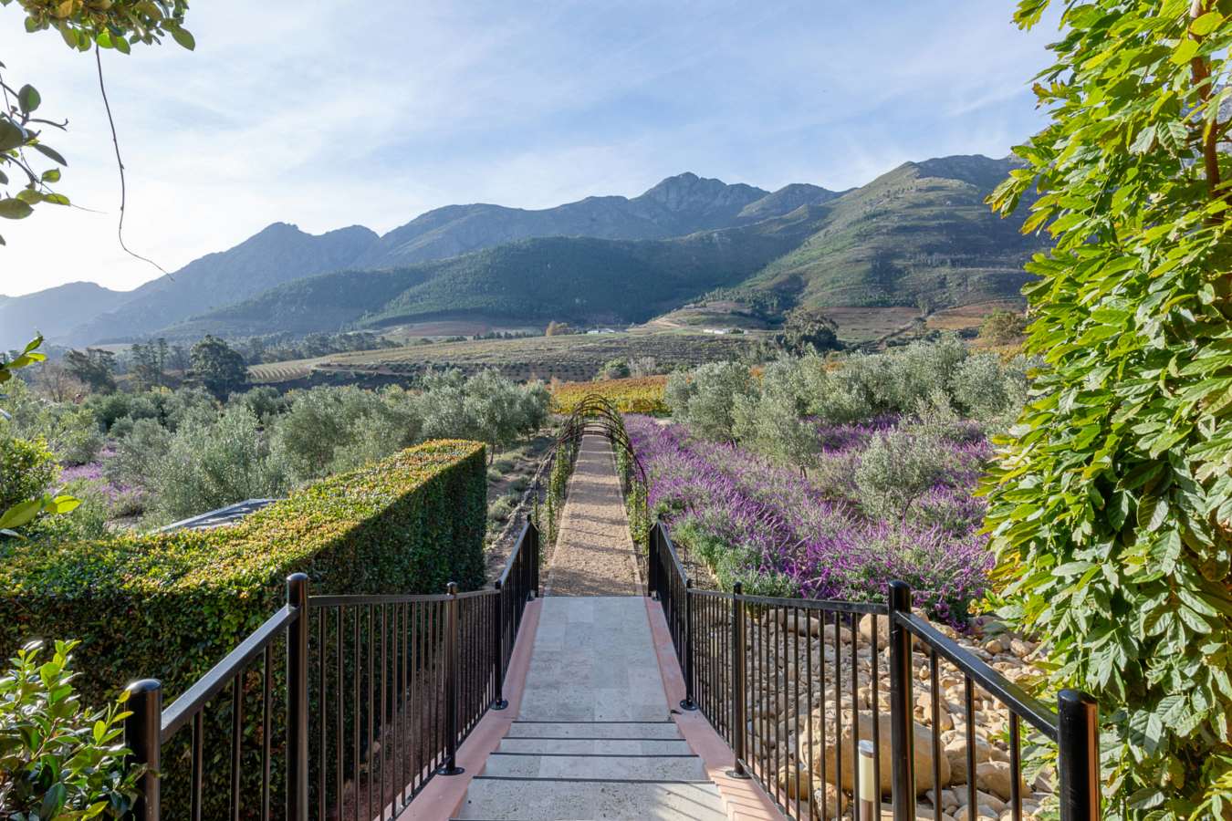 La Residence- 30